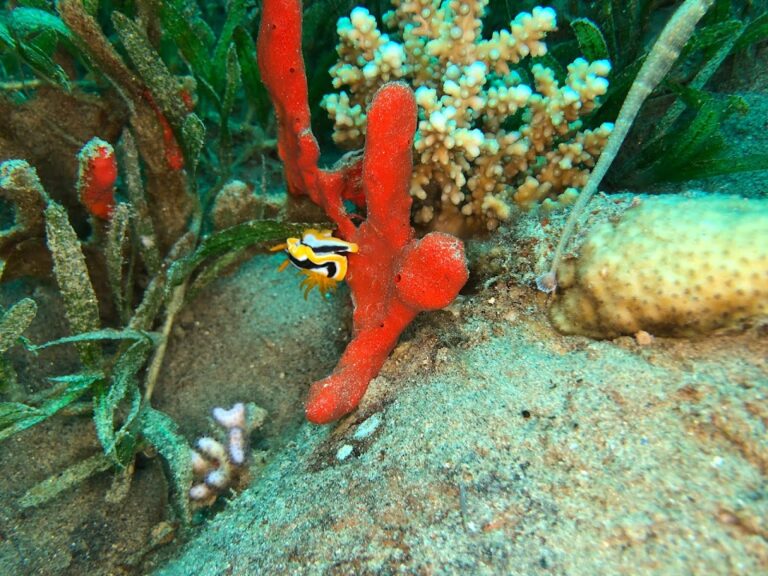 Foto: Jacek Spychalski