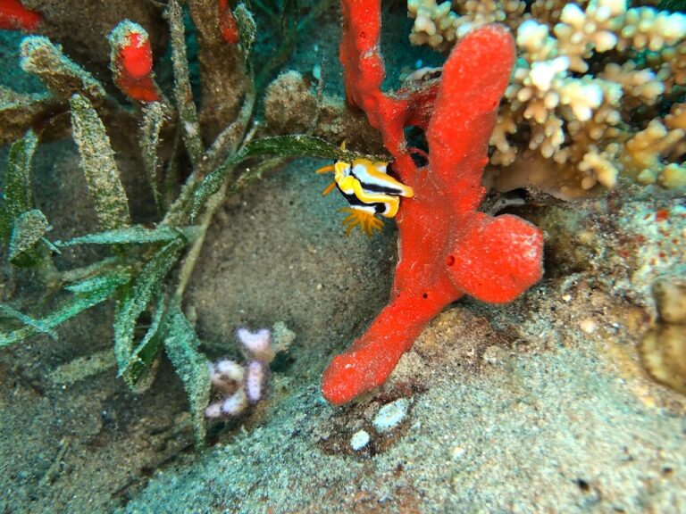 Foto: Jacek Spychalski