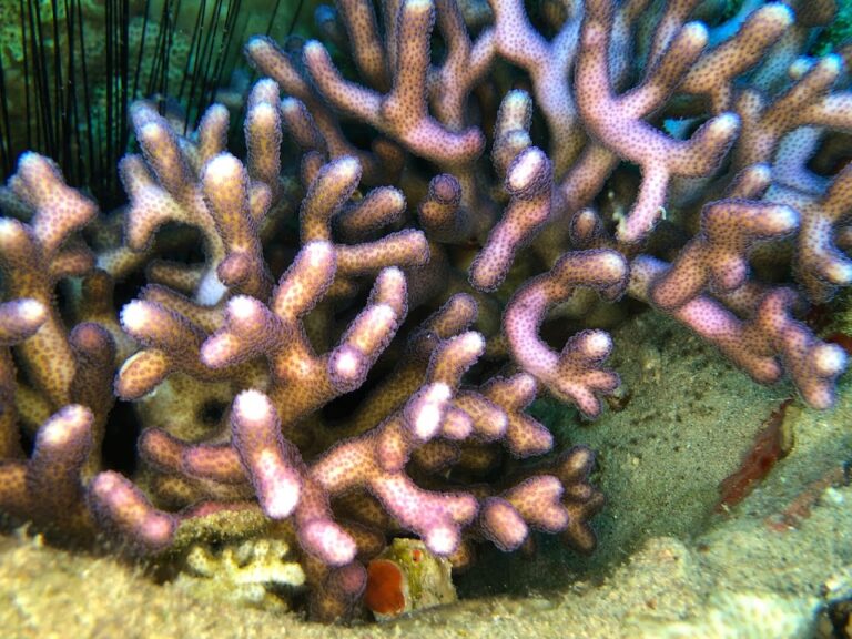 Foto: Jacek Spychalski